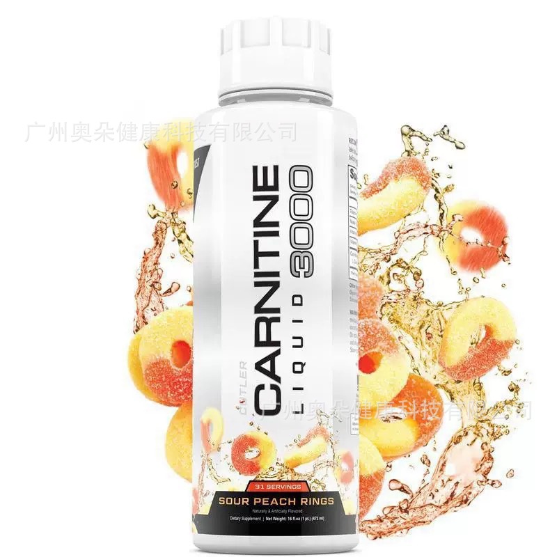 Carnitina Líquida 473ml Aument - Nutrition One Fitness avaliação e preço