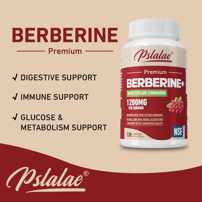 Berberina - Antioxidante, Supo - Berberine Hcl Capsule avaliação e preço